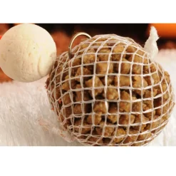 GURU Hameçons / Bas De Ligne Feeder-Aiguille à escher coup speedmesh needle