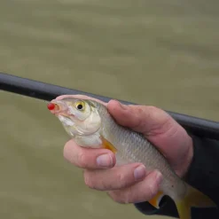 CRESTA Appâts / Amorces-Appâts Artificiels Spaghetti Balls XL (x8)