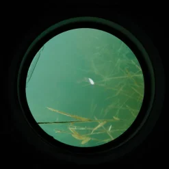 CARP SPIRIT Amorçage/Propulsion-Aquascope carpe water scan