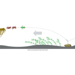 MADCAT Acc. Montage / Hameçons-Bas de ligne monté silure screaming basic river worm & squid