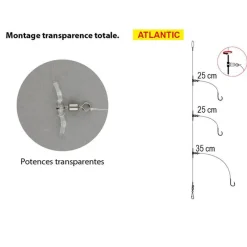 FLASHMER Bas De Lignes / Lignes Montées-Bas de Ligne Pro line Atlantic 2ham