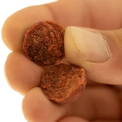 CAP RIVER Offre À Volume Carpe|Appâts Et Fabrication-Bouillettes Indian Spice 1kg