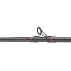 DAIWA Cannes-Canne Casting Powermesh 692mhfb 7-28g, 2.10m