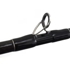 TENRYU Cannes-Canne Casting Injection BC 73 H Pike Special 2.21m, 20-80g