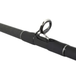 TENRYU Cannes-Canne Casting Injection BC 73 H Pike Special 2.21m, 20-80g