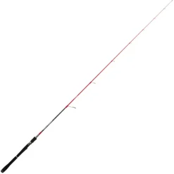 TENRYU Cannes-Canne lancer sayaka evo 1.95m 5-25g