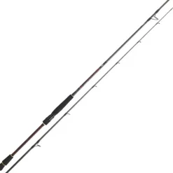DAIWA Cannes-Canne Spinning Infeet Seabass 2m21