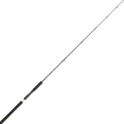 DAIWA Cannes-Canne Spinning Legalis Jigging 1m91