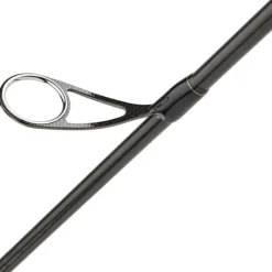 DAIWA Cannes-Canne Spinning Morethan Branzino Expert 2m44 14-42g