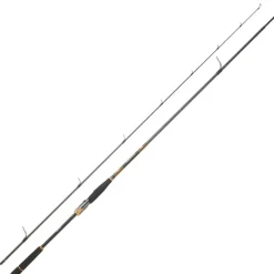 DAIWA Cannes-Canne Spinning Morethan Branzino Expert 2m24 10-35g