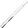 DAIWA Cannes-Canne Spinning Saltist Seabass 2m13 14-42g
