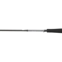 DAIWA Cannes-Canne Spinning Saltist Seabass 702 MHFS 14-42g