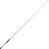 DAIWA Cannes-Canne Spinning Steez AGS 711HMHFSCF 2.16m, 10-35g