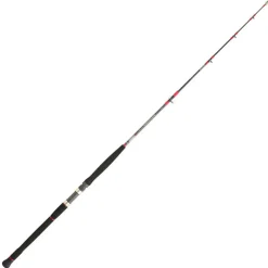 DAIWA Cannes-Canne Spinning Voyage Saltist Travel 734HFS 2.21m 30/70g
