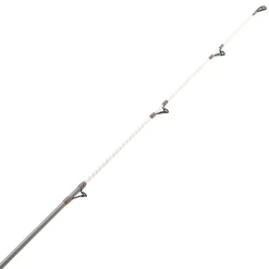 DAIWA Surfcasting|Cannes-Canne Surfcasting Shorecast Surf X 4m20 100-200g