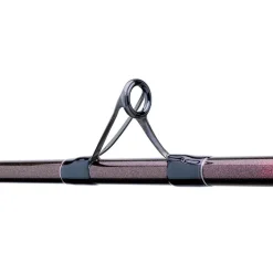 DAIWA Surfcasting|Cannes-Canne Surfcasting prime caster slim 4.25m