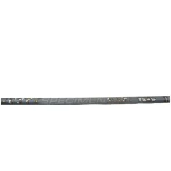 TEOS Cannes-Canne Majesty Specimen 1000