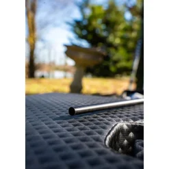 TEOS Cannes-Canne Majesty Specimen 1000