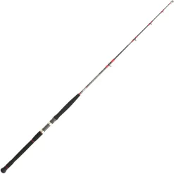 DAIWA Cannes-Canne Voyage Multibrins Saltist Travel 764 XXHFS 2.29m 80/180g