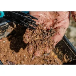 RIVE Appâts / Amorces-Ciseaux à vers