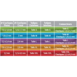 FUN FISHING Montages Elastiques-Elastique plein coup 6m