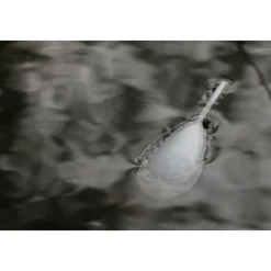 KORDA Acc.Montages/Hameçons-Flotteur stalking interceptor float