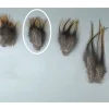 JMC Fly Tying-Fly tying plumes de pardo pelle de cape grade 1