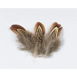 JMC Fly Tying-Fly tying plume de faisan