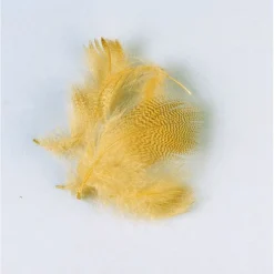 JMC Fly Tying-Fly tying plume flanc de canard été