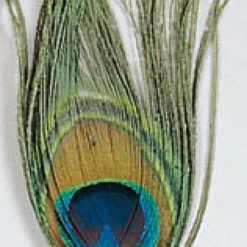 JMC Fly Tying-Fly tying plume oeil de paon
