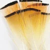 JMC Fly Tying-Fly tying plumes colerette faisan doré
