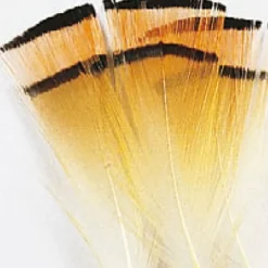 JMC Fly Tying-Fly tying plumes colerette faisan doré