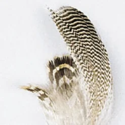 JMC Fly Tying-Fly tying plumes de sarcelle