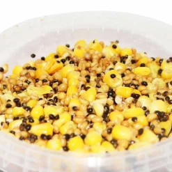 MACK2 Découverte Pêche À La Carpe|Appâts Et Fabrication-Graine cuite carpe ready made combi mix 2.3l