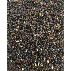 MACK2 Découverte Pêche À La Carpe|Appâts Et Fabrication-Graine cuite carpe ready made chili hemp 2.3l