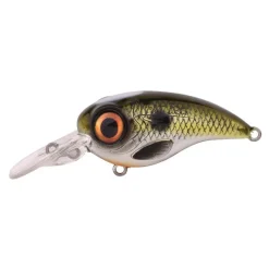 SPRO Leurres-Leurre Dur Crankbait Fat iris 80 CR 8cm, 40g