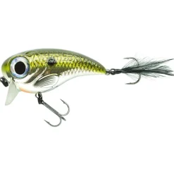 SPRO Leurres-Leurre Dur Crankbait Fat Iris 80 8cm, 39g
