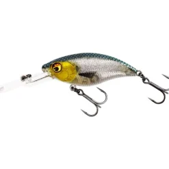 WESTIN Leurres-Leurre Dur Crankbait Buzzbite 6cm, 10g