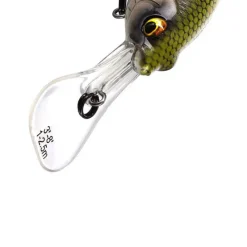 WESTIN Leurres-Leurre Dur Crankbait Buzzbite 6cm, 10g