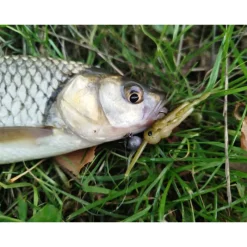 DELALANDE Leurres À Truite|Leurres-Leurre Souple Insecte Grillon 3cm (x3)