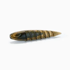 NAYS Leurres-Leurre Souple Worm ND 7.6cm (x6)