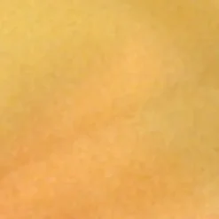 JMC Fly Tying-Matériaux synthétique mouche plaque latex