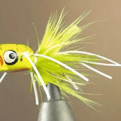 JMC Mouches-Mouche popper bass 50 popper h10