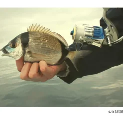 SASORI Pêche Aux Leurres|Découverte Pêche En Mer-Moulinet blue motion 6000 fd