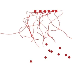 RAGOT Flotteurs-Nœud d’arrêt coulissant + perles water queen (sachet de 12 perles) rouges