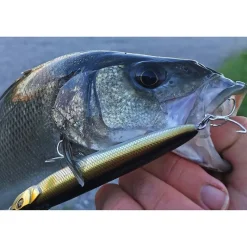 EVOK Packs Et Ensembles|Leurres-Pack 3 BEST leurres Loki Stick 110 SW