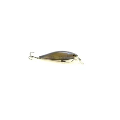 PACIFICPECHE Découverte Pêche Du Carnassier|Packs Et Ensembles-Pack Prêt à Pêcher Brochet Bzone Striker Telespin 240MH 10-40g + Moulinet + Nylon + Leurres + Boites