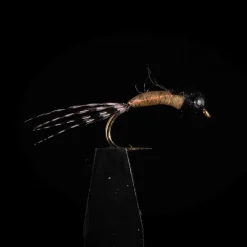 JMC Mouches-Perdigone PG3 H14 (x3)