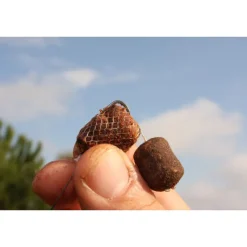 KORDA Amorçage/Propulsion-Recharge filet soluble Hexmesh 20m