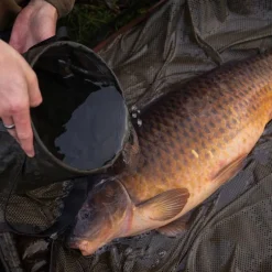 KORDA No Kill-Seau Compac Water Bucket